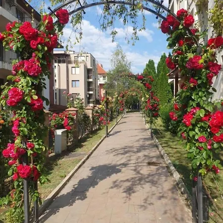 Family Apolon 2* نيسيبار